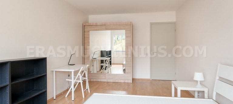 Amplia habitación de 21 m² con cama king size en Erasmus Vilnius Piso 2, Mindaugo gatvė
