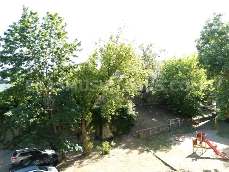 Interior del piso mostrando puertas de habitaciones y pasillo