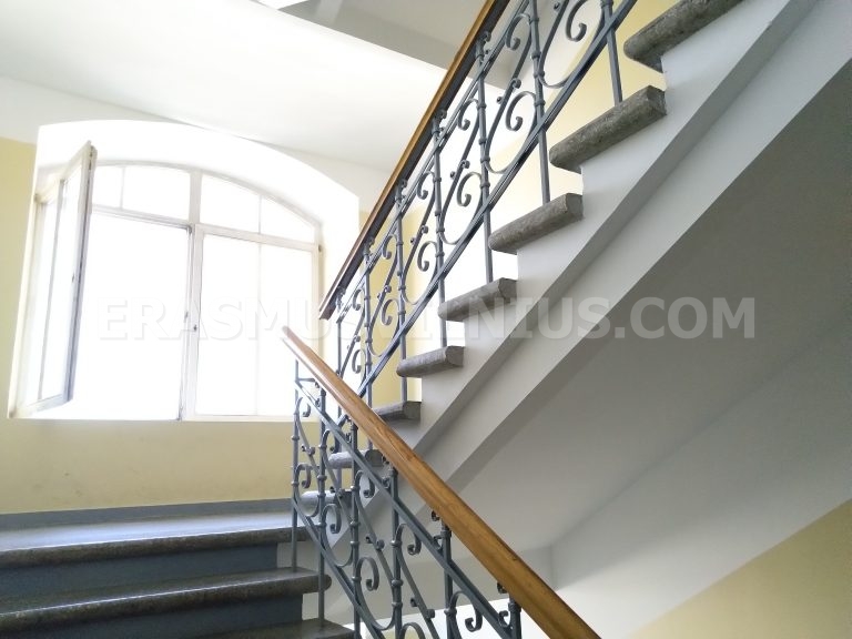 Panorámica de los tejados del centro histórico de Vilna desde el ático