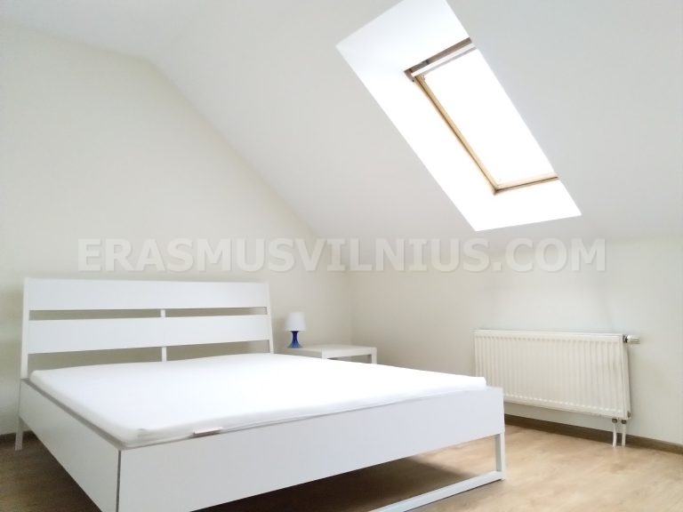 Cocina con horno, vitrocerámica y espacio de trabajo en alojamiento de estudiantes en Vilna