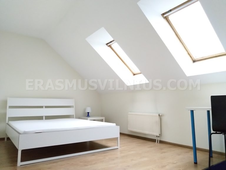 Habitación con mesilla de noche, lámpara y alfombra en piso Erasmus