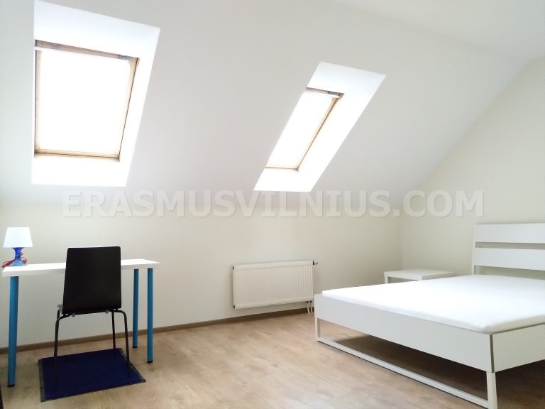 Vista general del segundo baño — ducha y lavabo en piso Erasmus