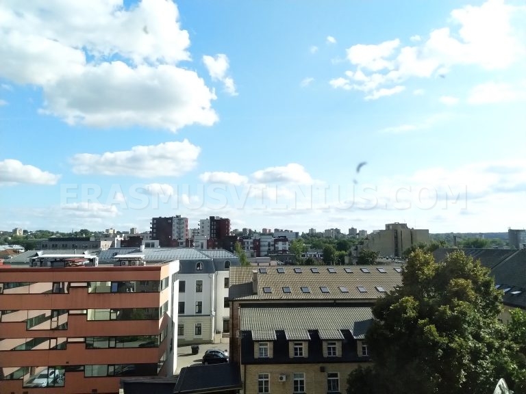 Habitaci&oacute;n privada con escritorio y armario en Piso 3, Vilna