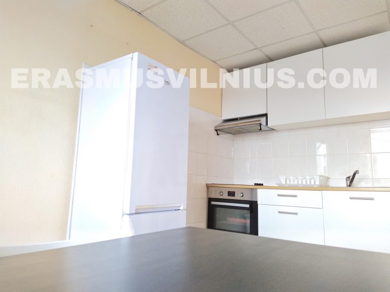 Pasillo de entrada en piso Erasmus de 3 habitaciones, Šaltinių g. Vilna